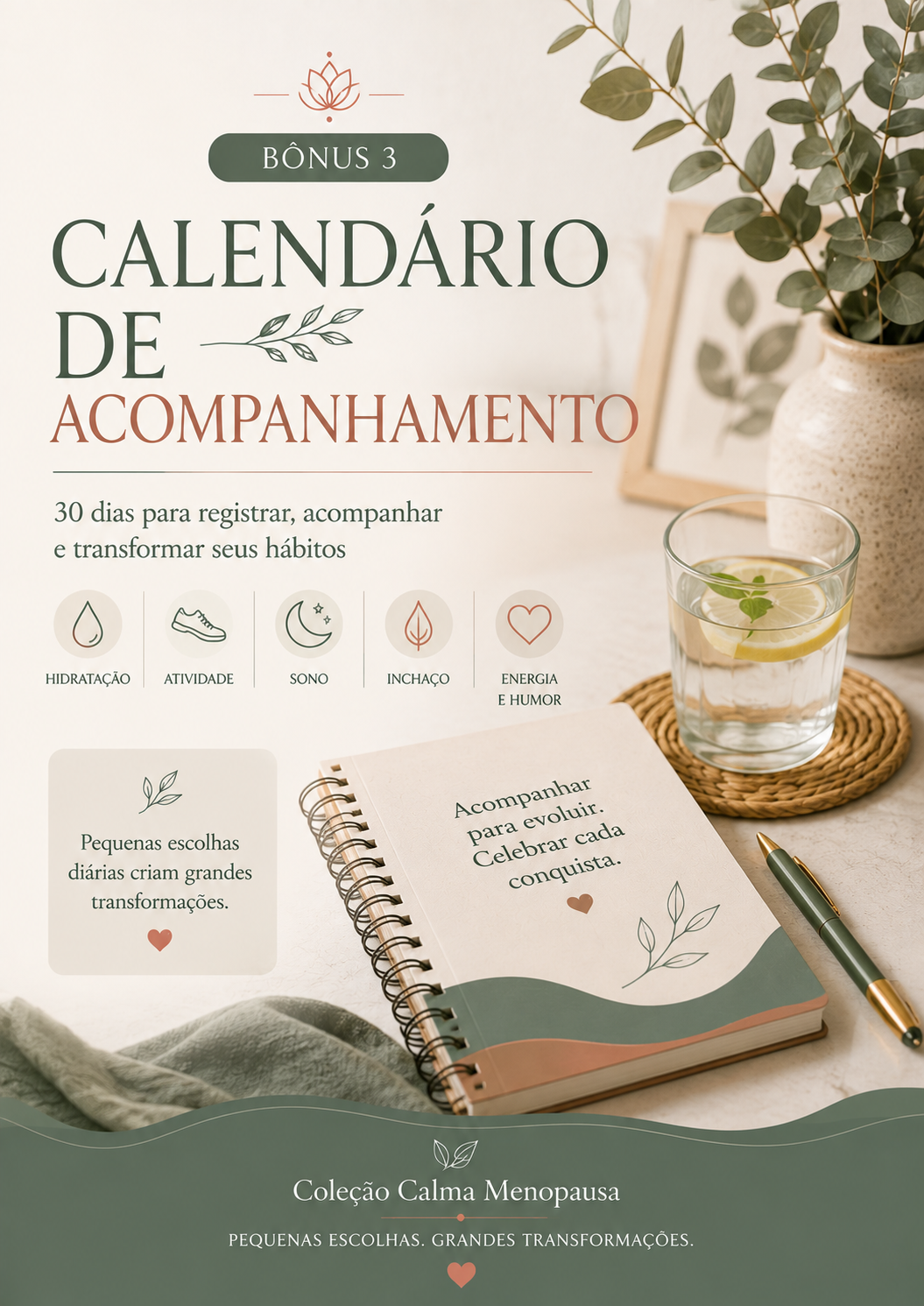 Calendário de Acompanhamento — 30 dias