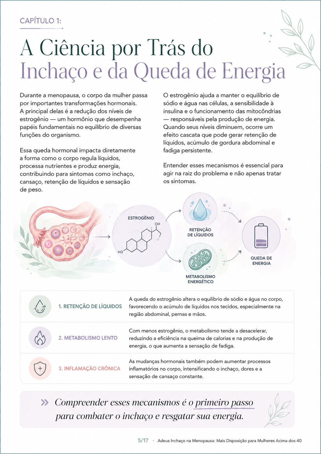 Página 5 — A Ciência por Trás do Inchaço e da Queda de Energia